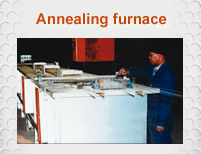 Annealing furnace Annealing furnace
