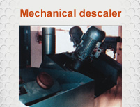 Mechanical descaler Mechanical descaler