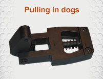 Pulling in dogs Pulling in dogs